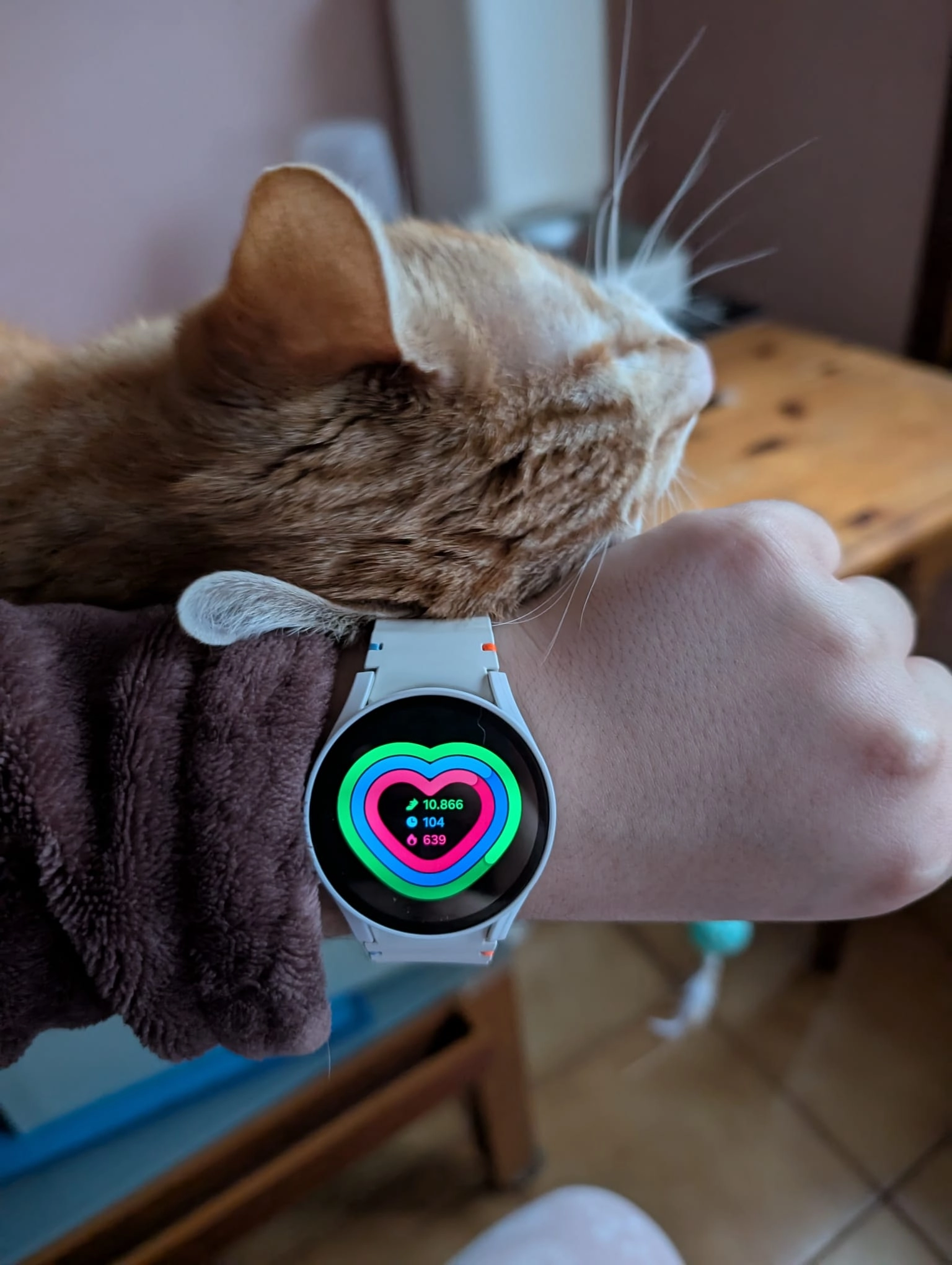 A challenge that makes us feel alive